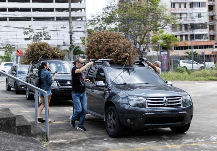 Etesa y la Alcaldía de Panamá Fomentan el Reciclaje en las Celebraciones Navideñas 2