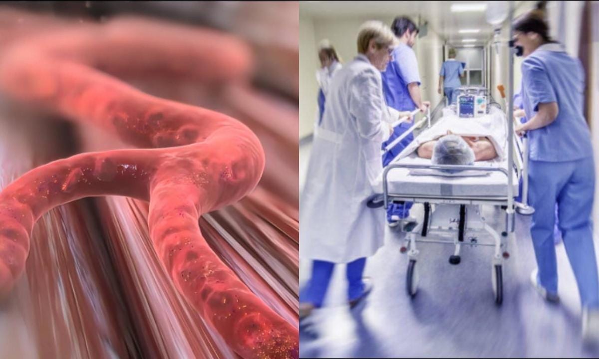 Empresa en Corea del Sur Ofrece Incentivos para Combatir la Baja Tasa de Natalidad 2