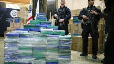 Casi 600 toneladas de narcóticos decomisadas en los últimos cinco años 27