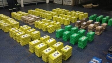 Confiscan 885 paquetes de sustancias ilegales en contenedores en tránsito por Panamá 19