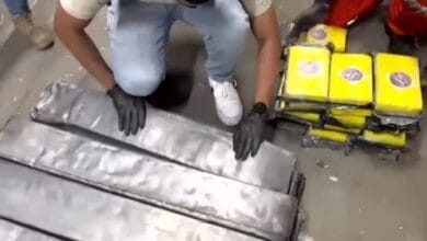 Incautan más de mil paquetes con sustancias prohibidas en las últimas 24 horas 22