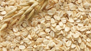 La Mejor Manera de Consumir Avena para Incrementar la Masa Muscular 22