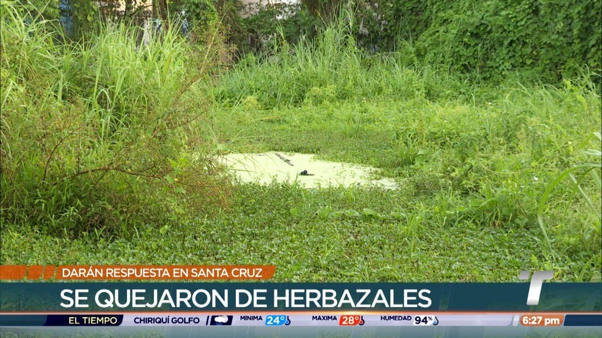 Realizarán jornada de limpieza en Santa Cruz, Curundú, tras denuncia de residentes